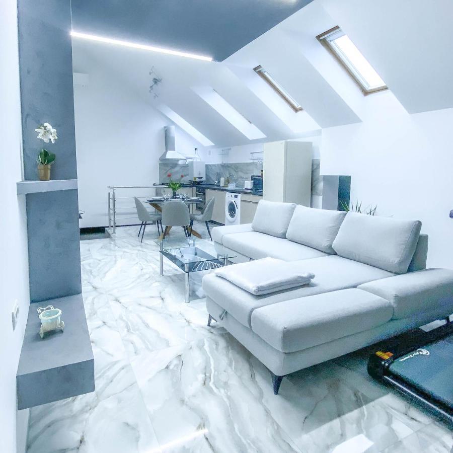 The Residence Of Silver Sky House 티미쇼아라 외부 사진