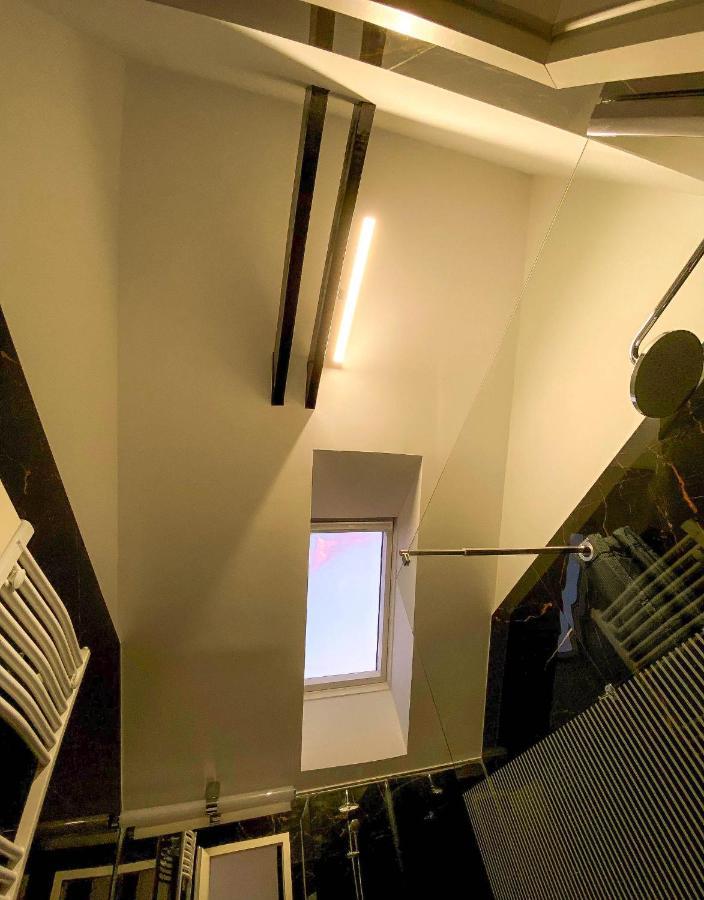 The Residence Of Silver Sky House 티미쇼아라 외부 사진