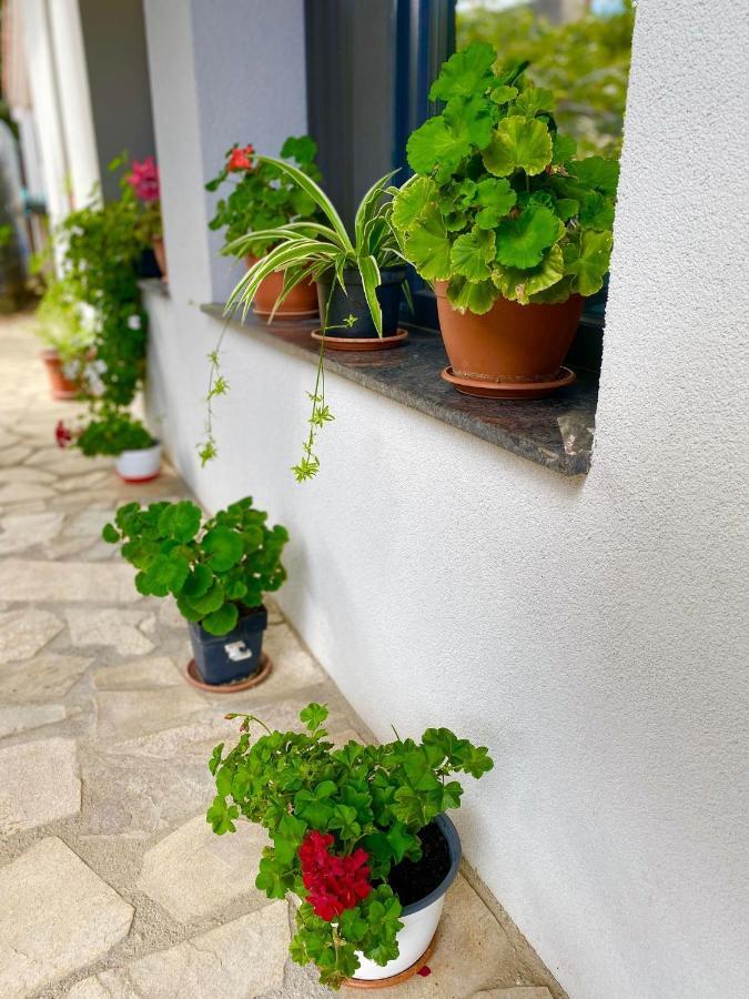 The Residence Of Silver Sky House 티미쇼아라 외부 사진