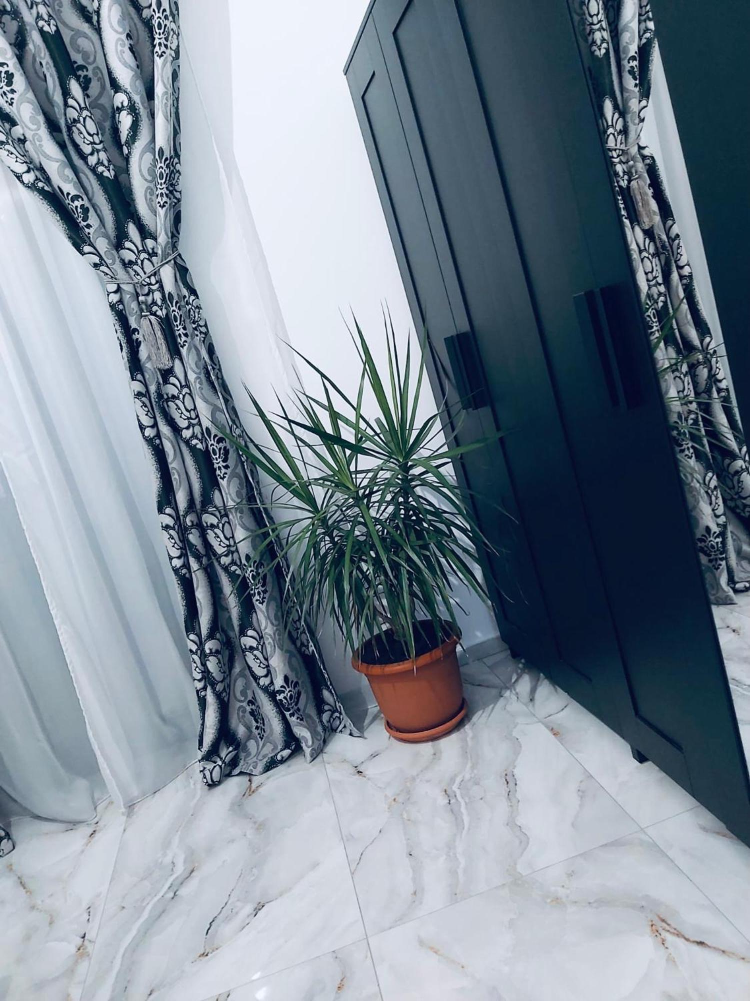 The Residence Of Silver Sky House 티미쇼아라 외부 사진